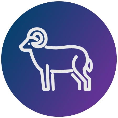 Big_Horn_Icon3
